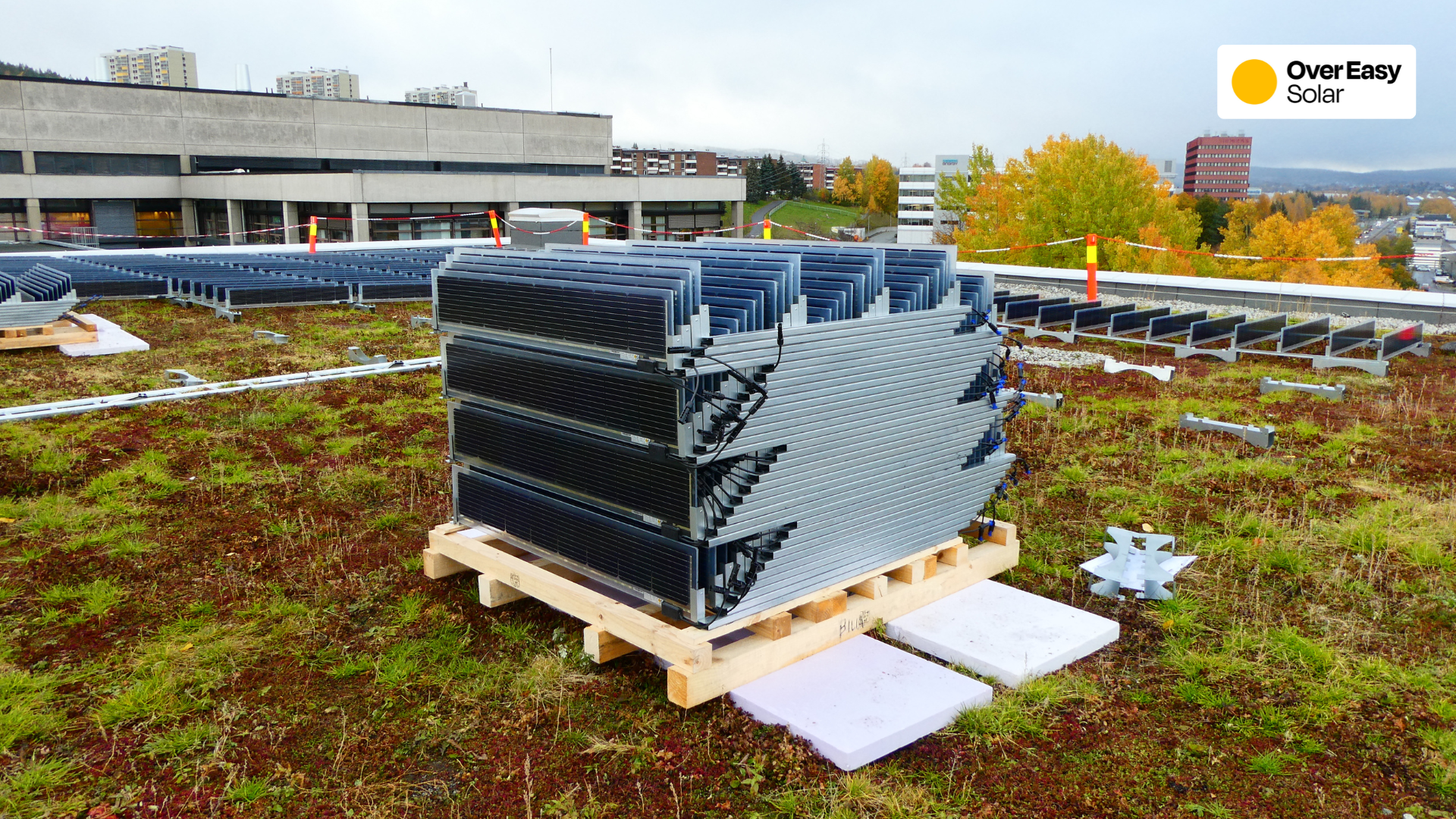 2-Jan-13-2026-12-36-26-3101-AM