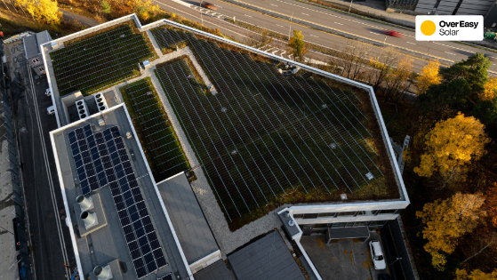 Smart Commercial Energy Introduces Over Easy Solar to Australia