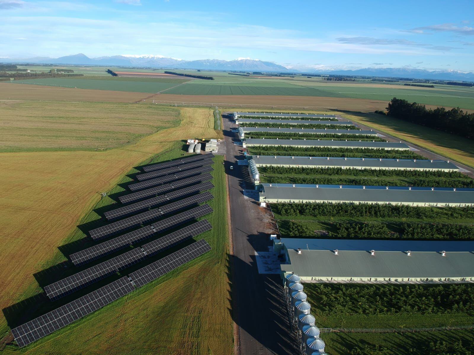 smart guide to starting your net zero journey