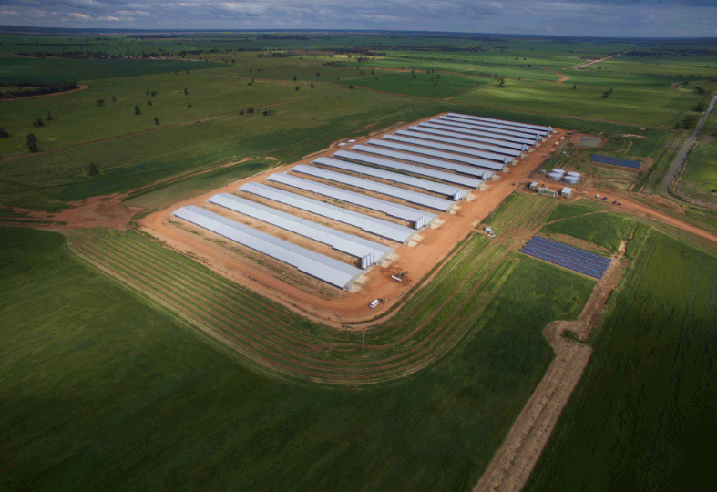 solarpv_proten_groundmount