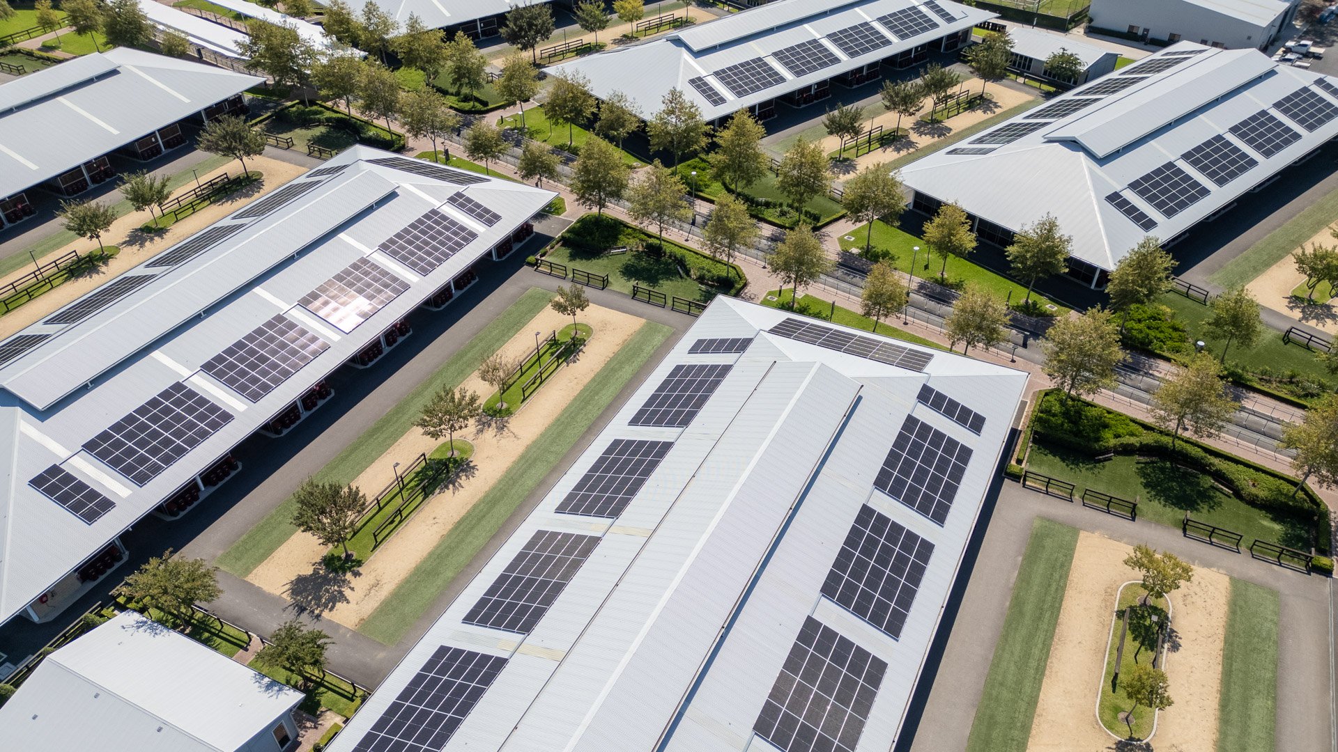 William Inglis_Resized-10